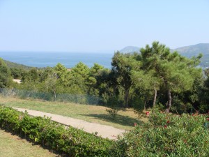 View from the hotel grounds